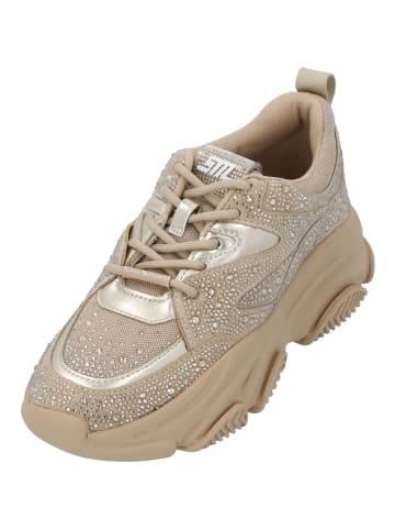 Steve Madden Schnürschuhe in Beige