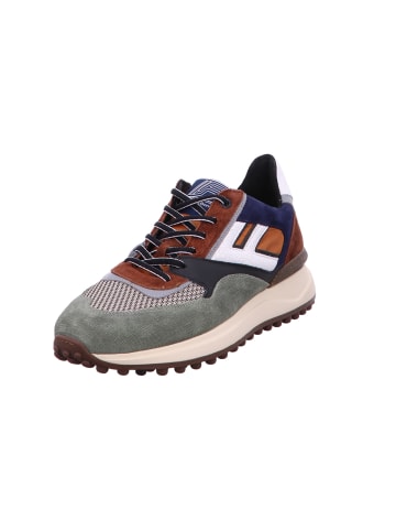 Floris van Bommel Schnürschuh in grün