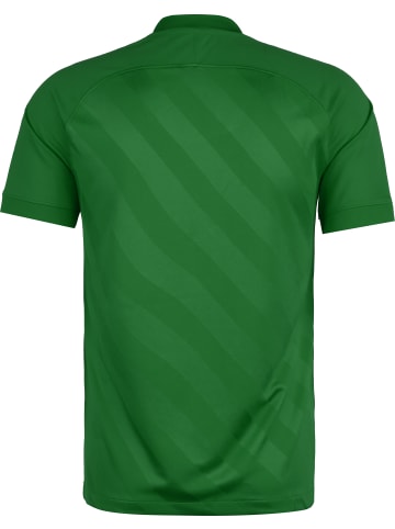Nike Performance Fußballtrikot Challenge III in grün / weiß