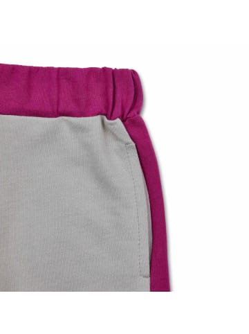 MANITOBER Short Shorts in Gray/Berry