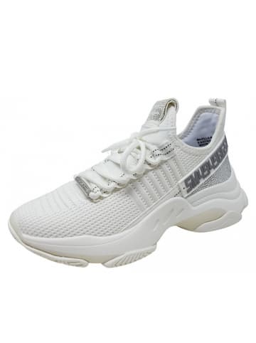 Steve Madden Sneaker Maxilla R in Weiß