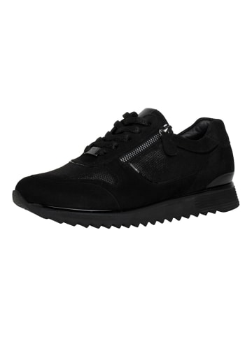 HASSIA Sneaker in Schwarz