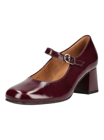 Gabor Pumps in Bordeaux