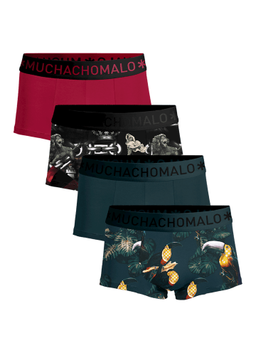 Muchachomalo 4er-Set: Boxershorts in Multicolor