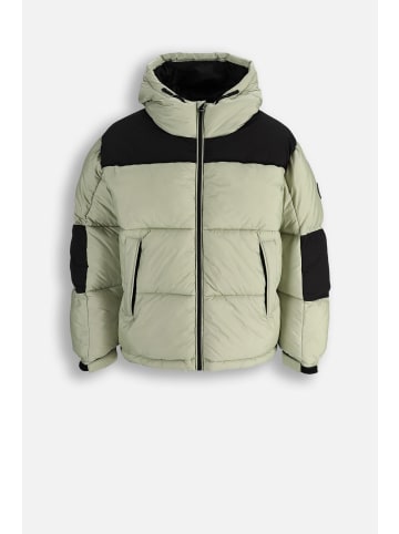 Coccodrillo Gesteppte Winterjacke in grün