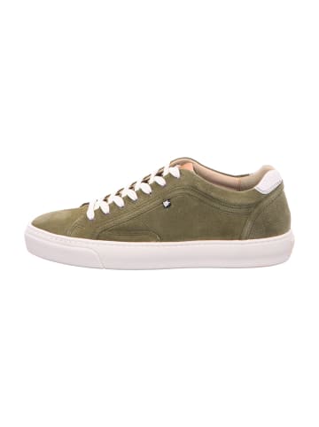 Floris van Bommel Sneaker Low in Grün