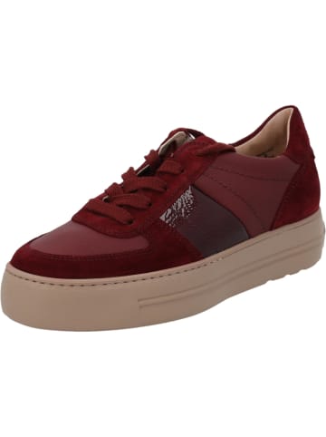 Paul Green Schnürschuhe in wine