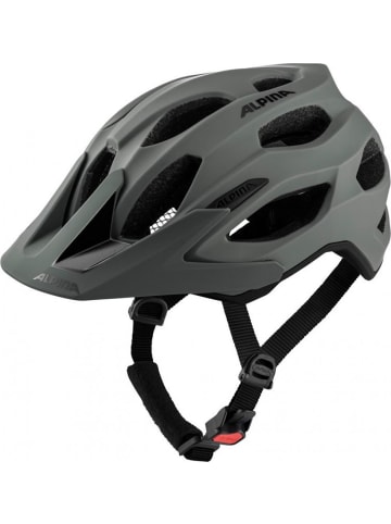 Alpina Alpina Helm Carapax 2.0 coffee-
