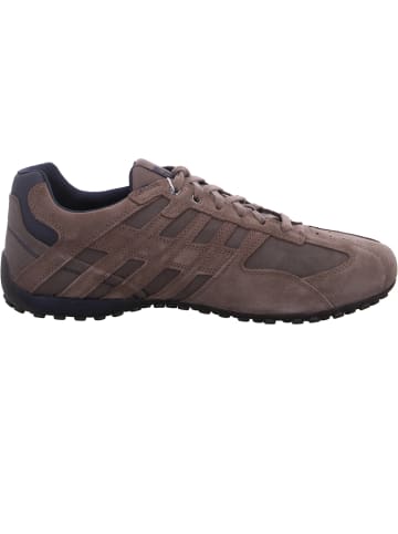 Geox Schnürer Uomo Snake in Grau