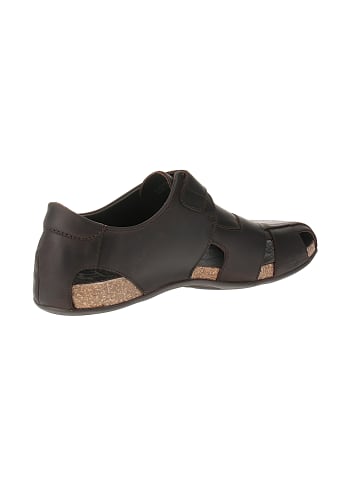 PANAMA JACK Sandalen Fletcher Basics C1 in Braun
