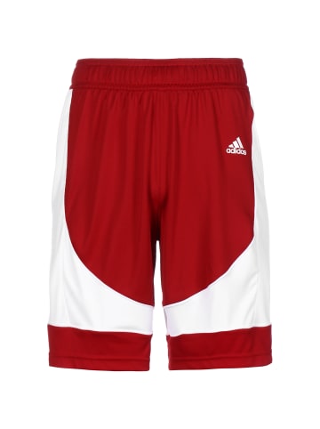 adidas Performance Trainingsshorts N3XT L3V3L Prime Game in dunkelrot / weiß