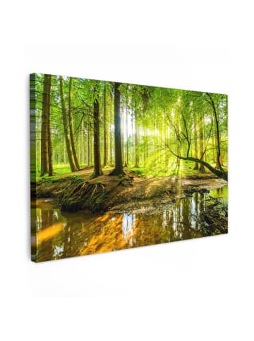 MuchoWow Leinwand bilder Waldlicht (BxH)