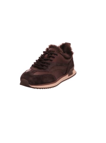 Gabor Sneaker Low in dunkelbraun