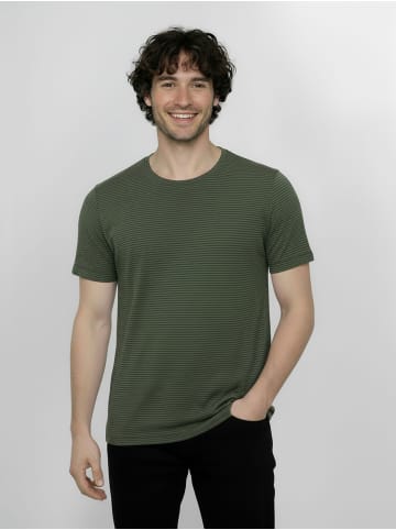GreenBomb Spice Basic in Herb Stripes