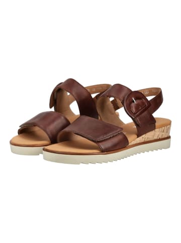 Gabor Sandalen in Camel