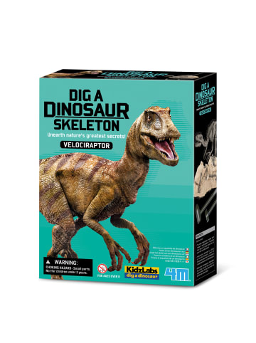 4M Experimentierset KidzLabs - Ausgrabung Velociraptor ab 3 Jahre in Mehrfarbig