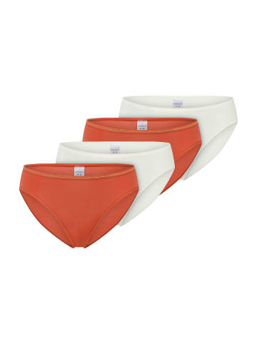 Schiesser Slip Modal Essentials in terracotta,creme