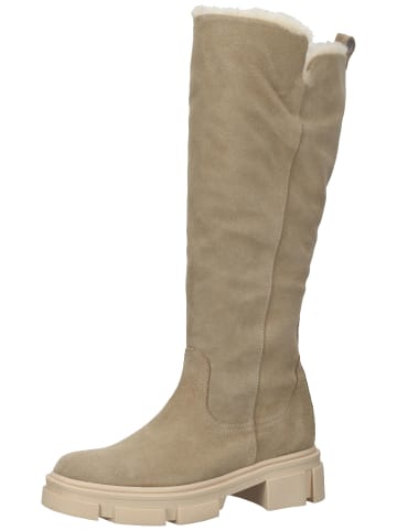 ILC Stiefel in Taupe