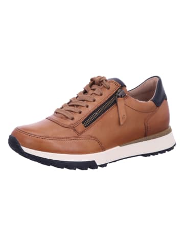 Paul Green Sneaker in braun