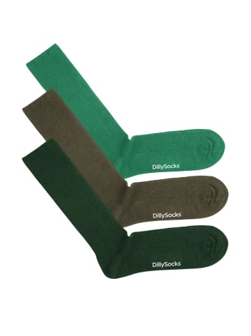 DillySocks Socken 3er Pack Premium Ribbed in Ribbed Greenery