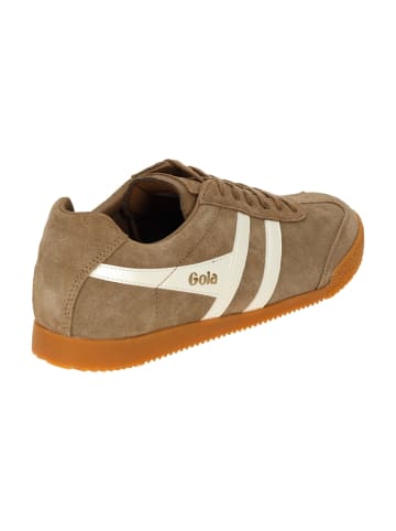 Gola Sneaker Low in Braun