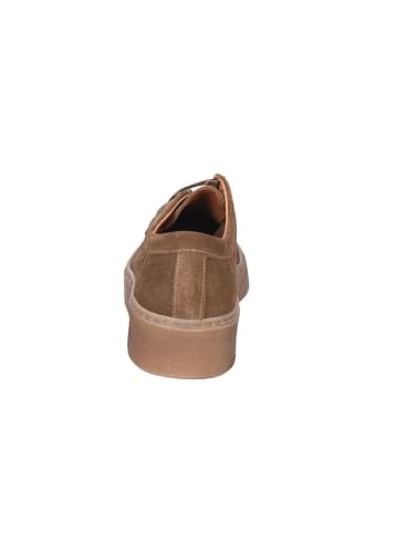 phenumb Schnürschuhe in beige