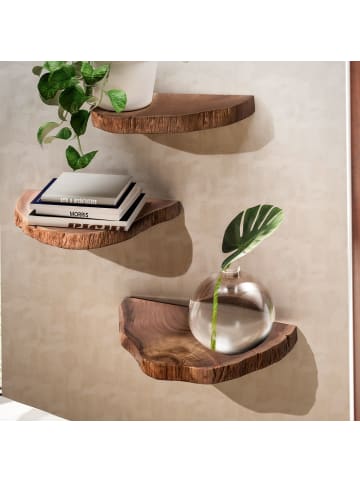 FineBuy Wandregal in Braun / Akazie / 47x25x4