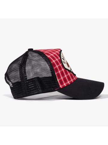 King Kerosin King Kerosin Trucker Cap California in rot