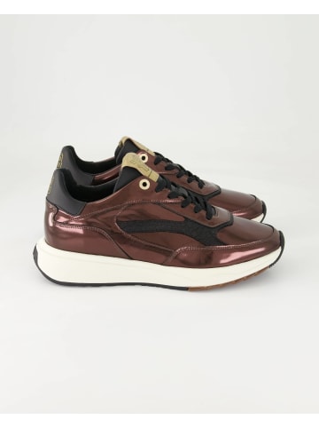 Floris van Bommel Sneaker low in Braun