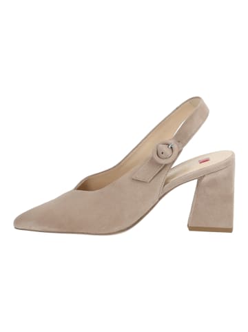 Högl Pumps in Taupe