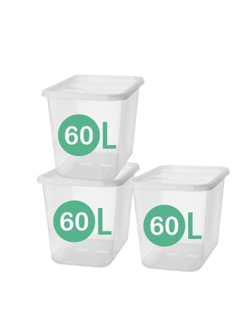 SmartStore 3er-Set Aufbewahrungsbox Basic   Transparent 60L