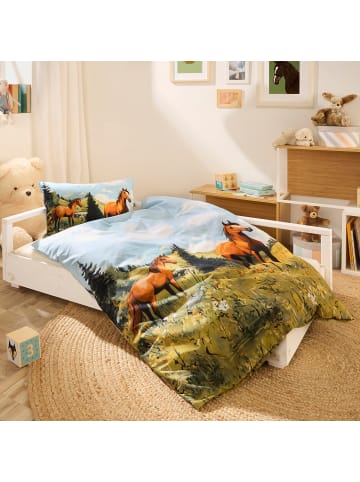 Erwin Müller Renforcé Kinder-Bettwäsche in blau-grün