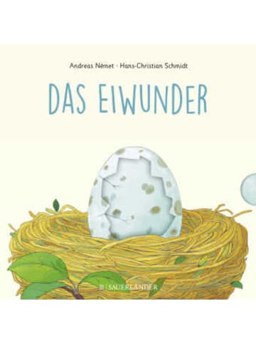 FISCHER Sauerländer Buch - Das Eiwunder