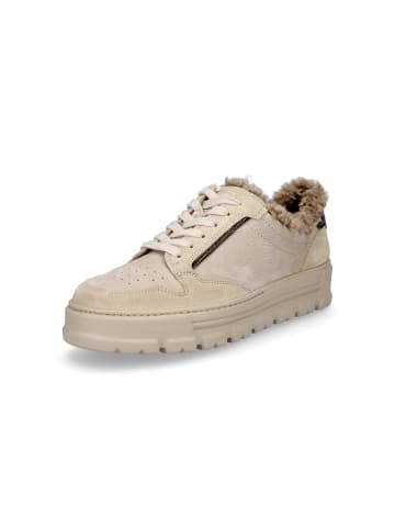 Paul Green Sneaker in beige