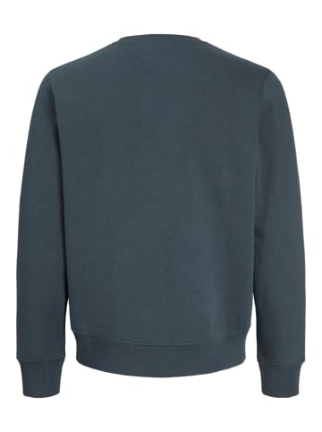 JACK & JONES Junior Rundhals Sweatshirt Jjmunk in turbulence