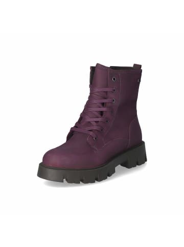 Däumling Winterstiefeletten in Violett