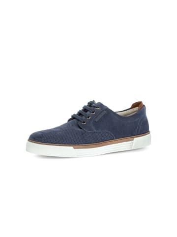 Gabor Sneaker low in blau