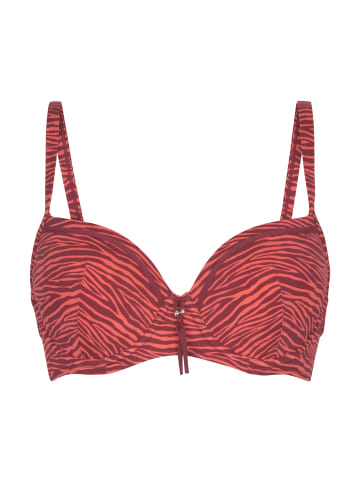 Linga Dore Bikini Form in Zebra print