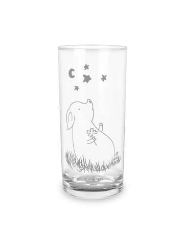 Mr. & Mrs. Panda Wasserglas Schwein Glück ohne Spruch in Transparent