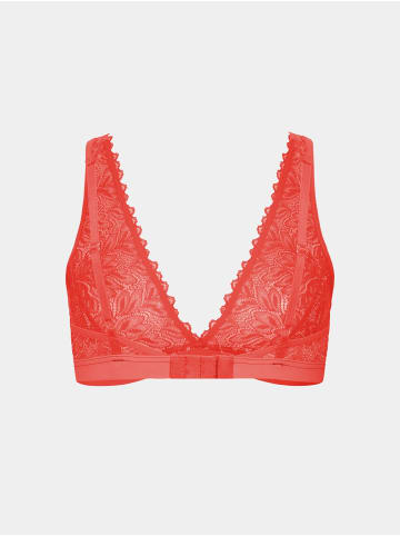 Erlich Textil  DREAMY LACE PLUNGE BRA in wilde orange