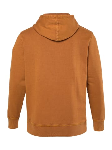 JP1880 Sweatshirt in haselnuss