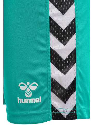 Hummel Kurze Hose Playful Shorts Erwachsene in ATLANTIS