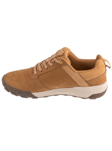 Caterpillar Caterpillar Hex Cush Lo in Beige
