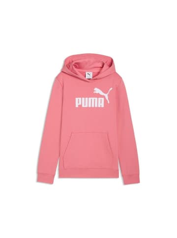 Puma Kinder Hoodie "Ess NO. 1 Logo Hoodie TR G" in Pink