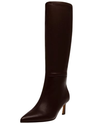 Steve Madden Stiefel in Braun