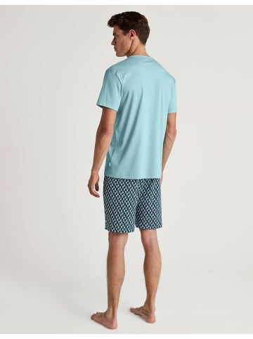Calida Pyjama kurz für Herren in blau