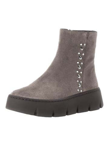 Gabor Stiefelette in Braun/Grau