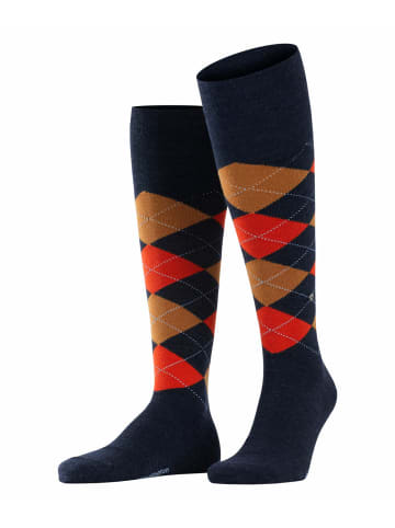 Burlington Kniestrümpfe Edinburgh in Steelblue