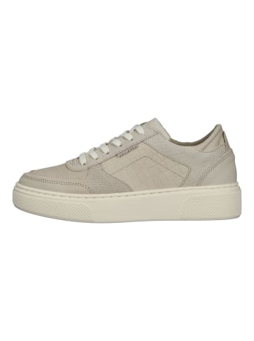 Bullboxer Sneaker in Beige