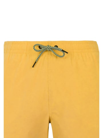 Protest " Faster in Tumericyellow